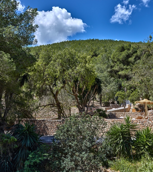 Resa Esatates for sale finca st rafael Ibiza modern 1 campo 3.jpg